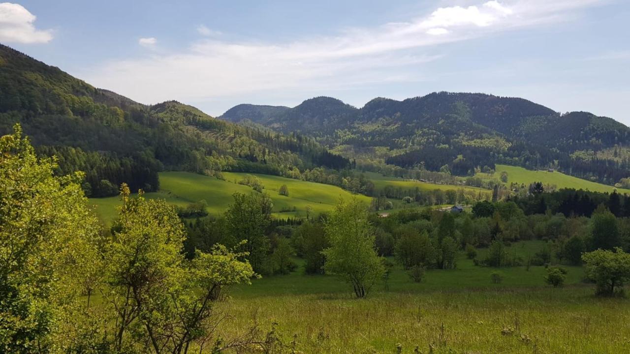 Sloneczne Apartamenty Sokolowsko Dış mekan fotoğraf